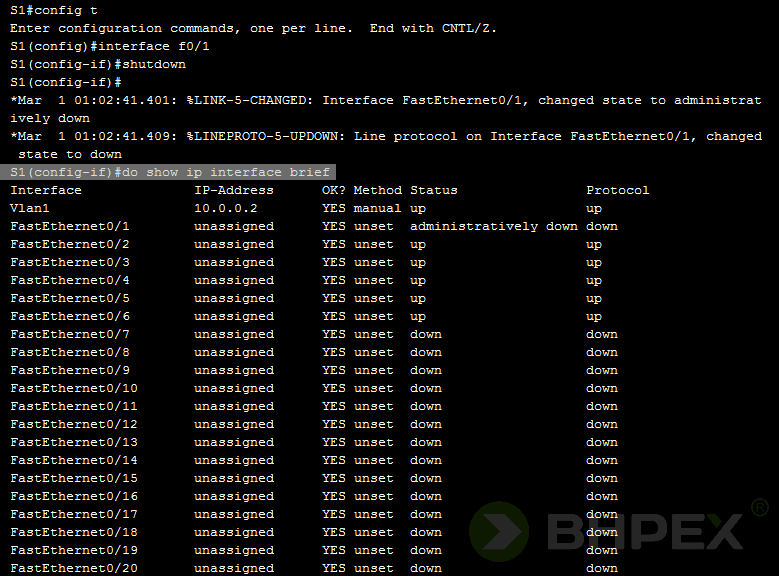 do show ip interface brief - sprawdzenie efektu i poprawności