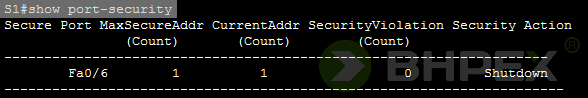 show port-security