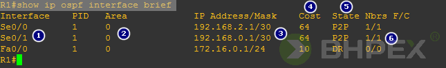 status interfejsów w procesie OSPF