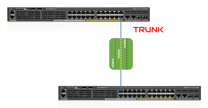 VLAN trunk